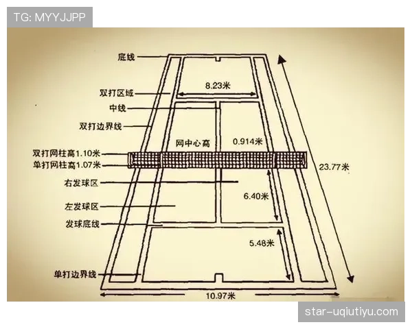 边线规则详解：球出界后如何判定归属与发球位置