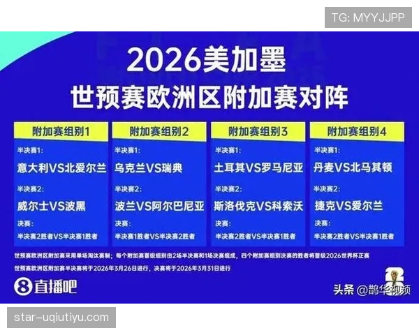 波黑冲击2026世界杯：晋级前景与阵容分析